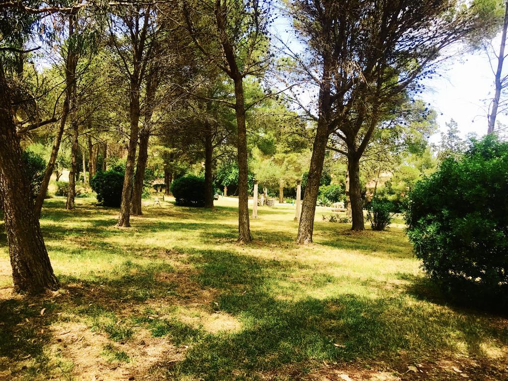 Private Villas Puerto Pollensa For Family Groups, Private Mountain Ideal For Runners, Trailers, Hikers, It Is Approximately 3 Minute Walk From The Beach Екстер'єр фото